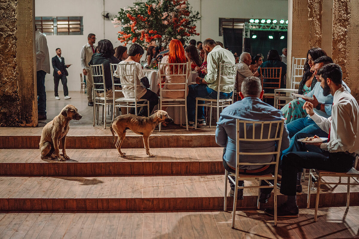Foto Até Para Cães - Casamento premiado pela Inspiration Photographers - Imagem 13