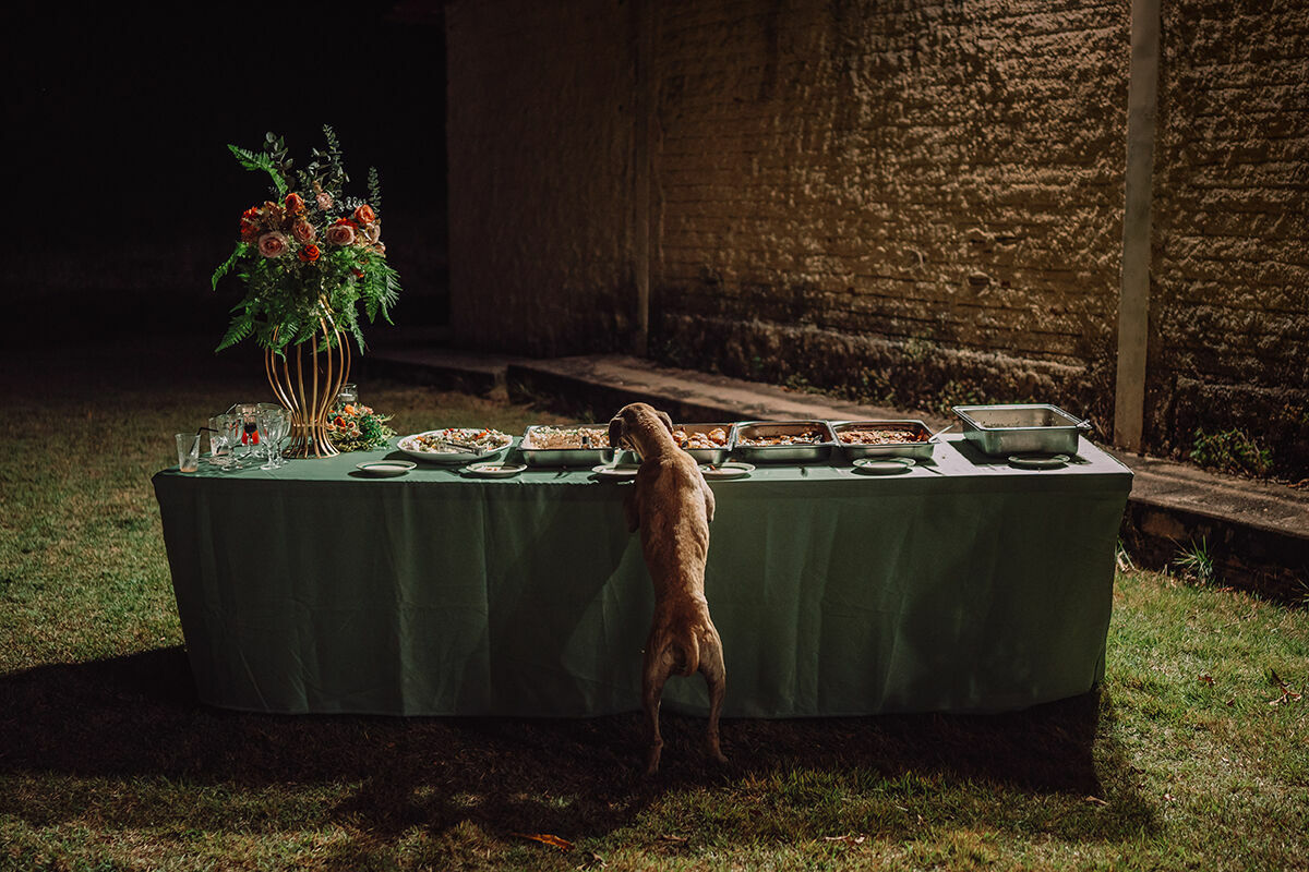 Foto Até Para Cães - Casamento premiado pela Inspiration Photographers - Imagem 14