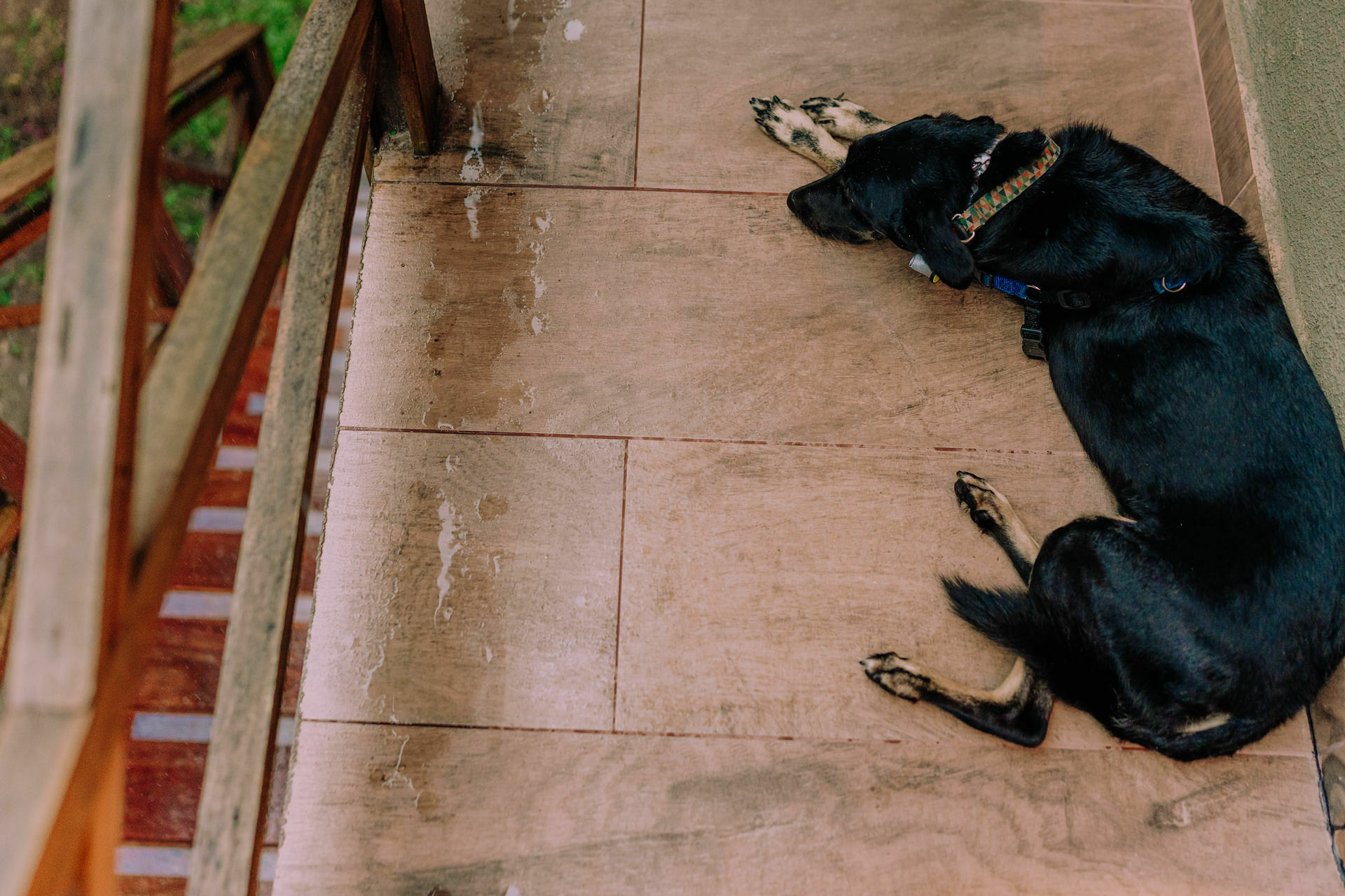 Foto Deborah e Luciano - Casamento na Ilha do Mel - Imagem 12