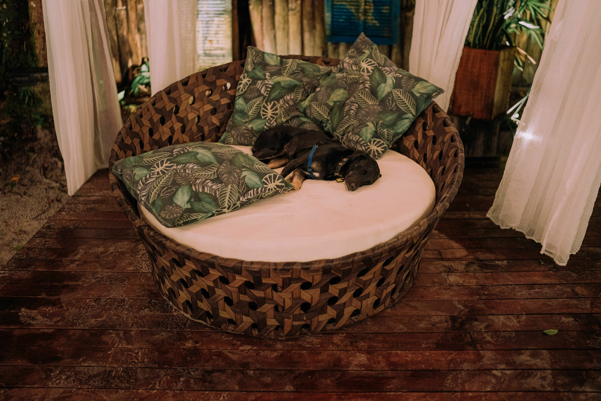 Foto Deborah e Luciano - Casamento na Ilha do Mel - Imagem 36